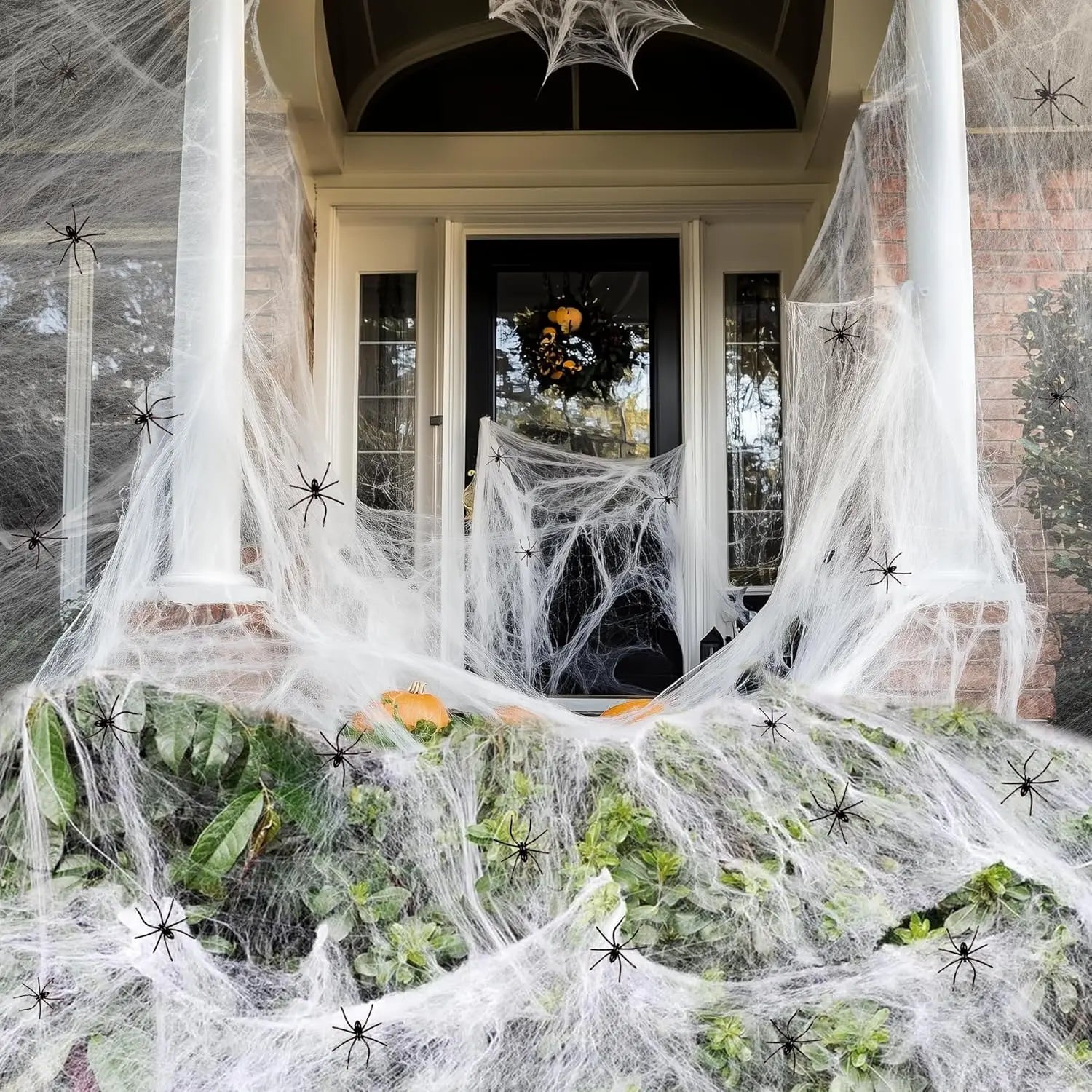 Stretchable Spider Web with Fake Spider
